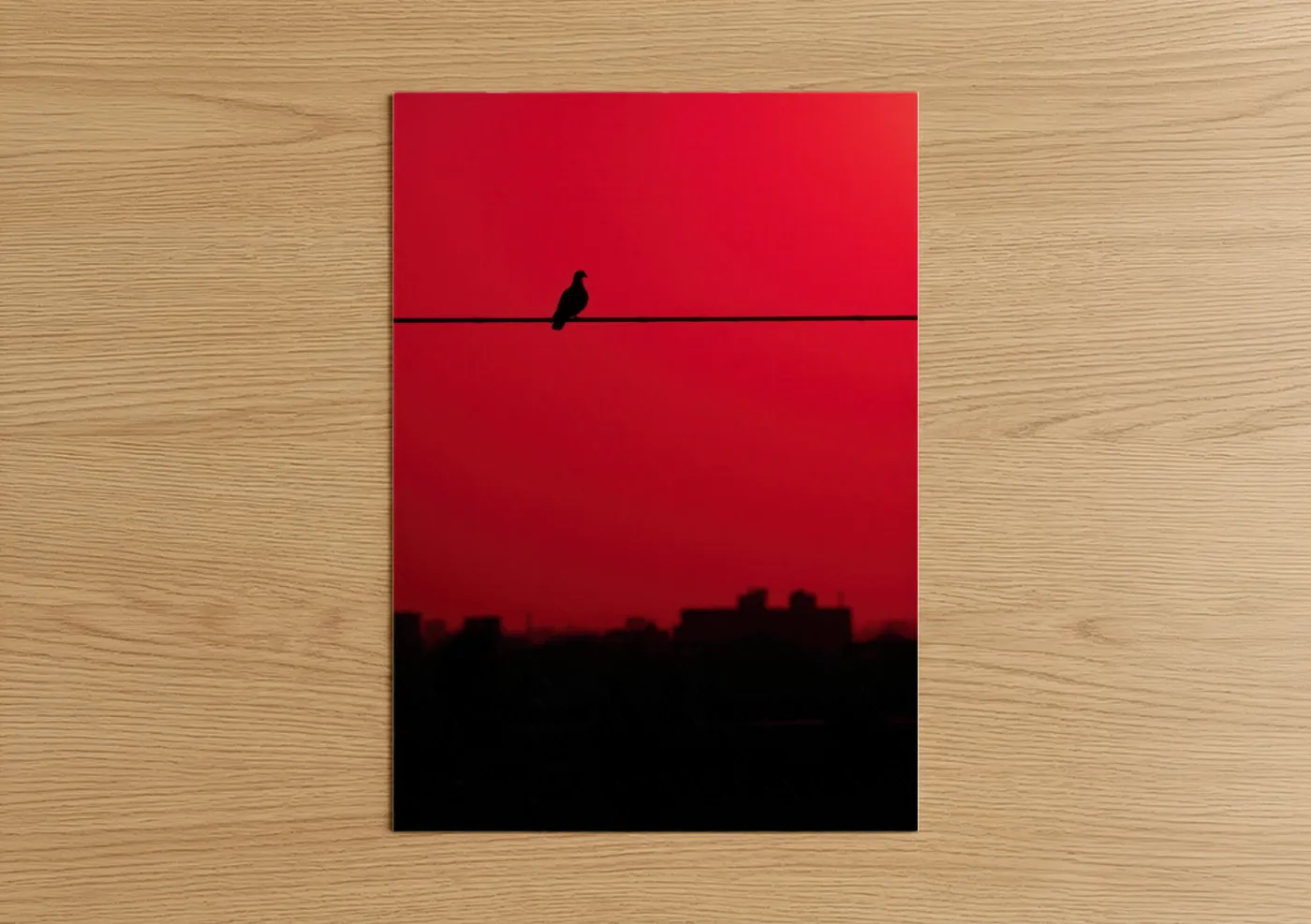 Urban Sentinel Pigeon Silhouette Red Wall Art