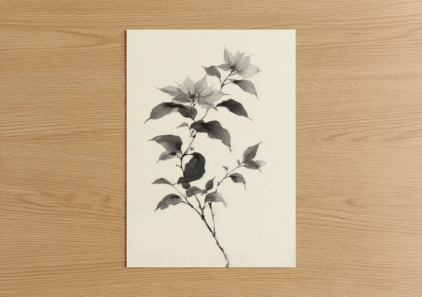 Delicate Poinsettias Botanical Sketch Wall Art
