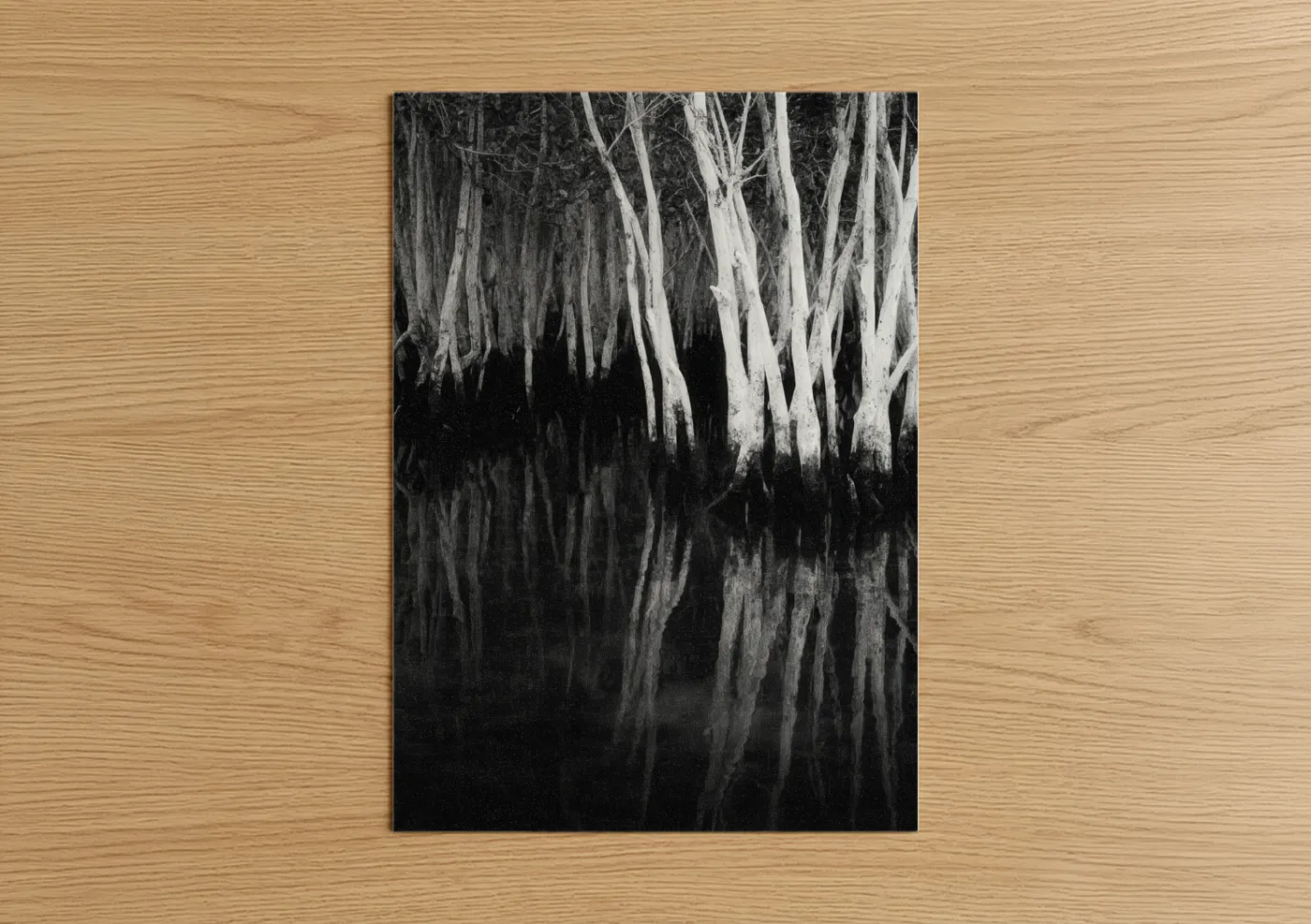 Mirrored Mangrove Black White Photography Wall Art
