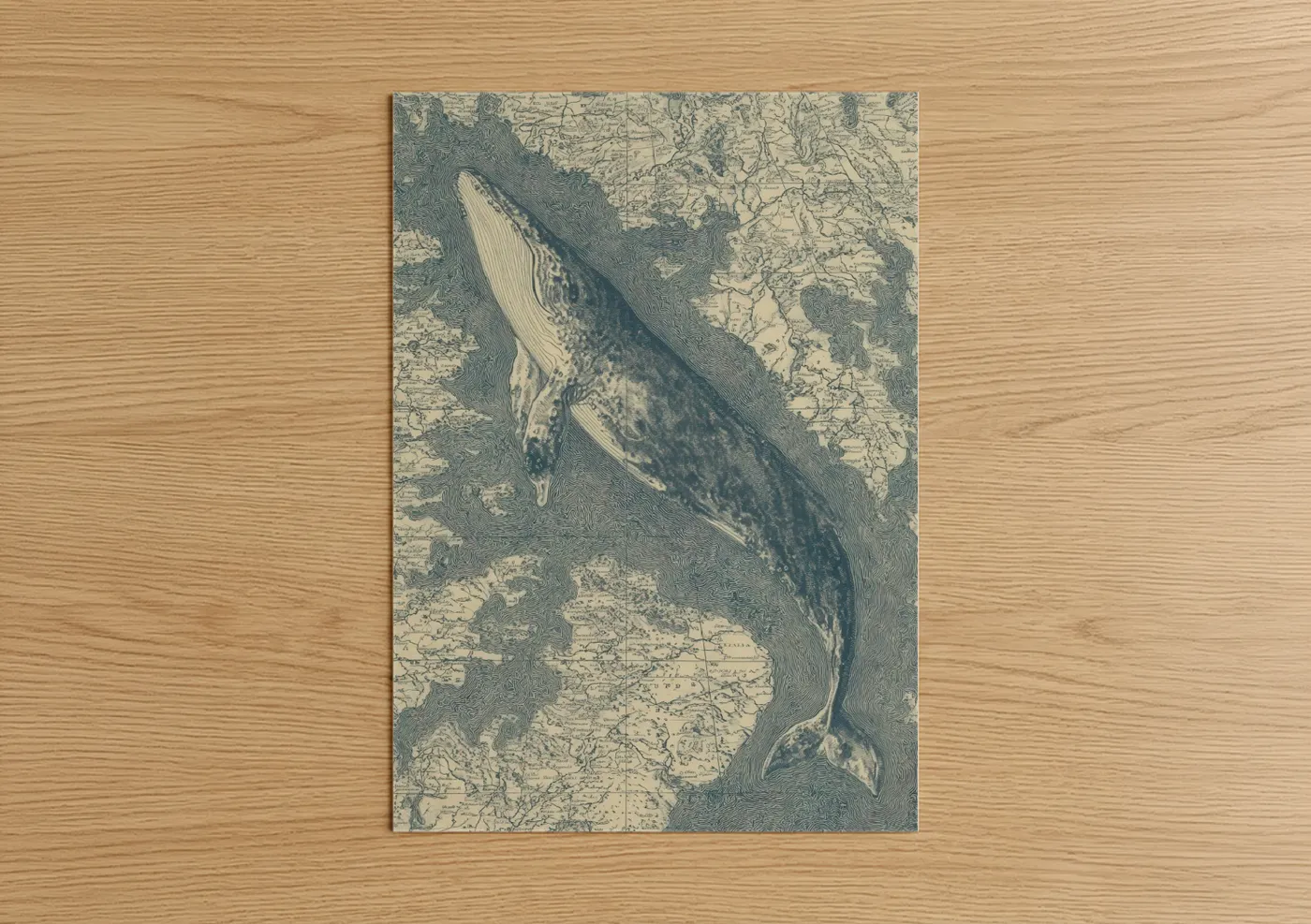 Gray Whale Map Vintage Engraving Wall Art