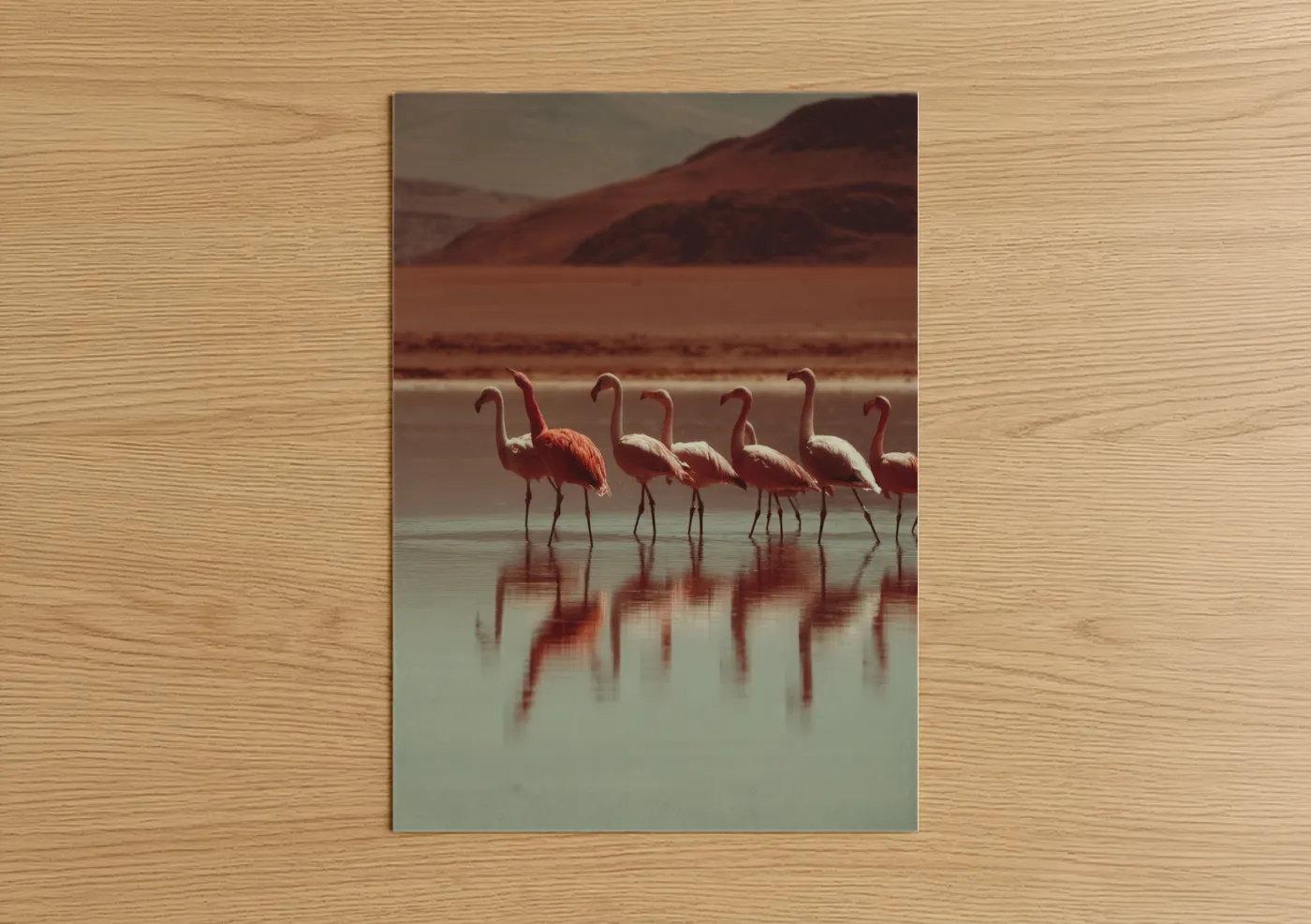 Art print on warm oak wood — russet and teal palette — Desert Flamingos poster