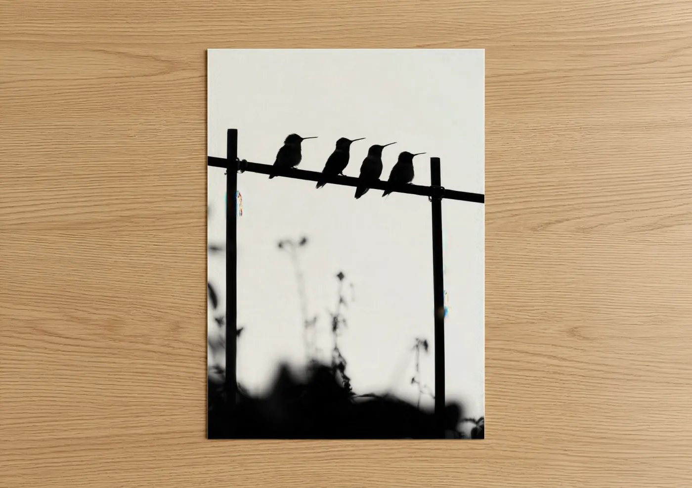 Art print on warm oak wood — black and white palette — Perched Hummingbirds poster