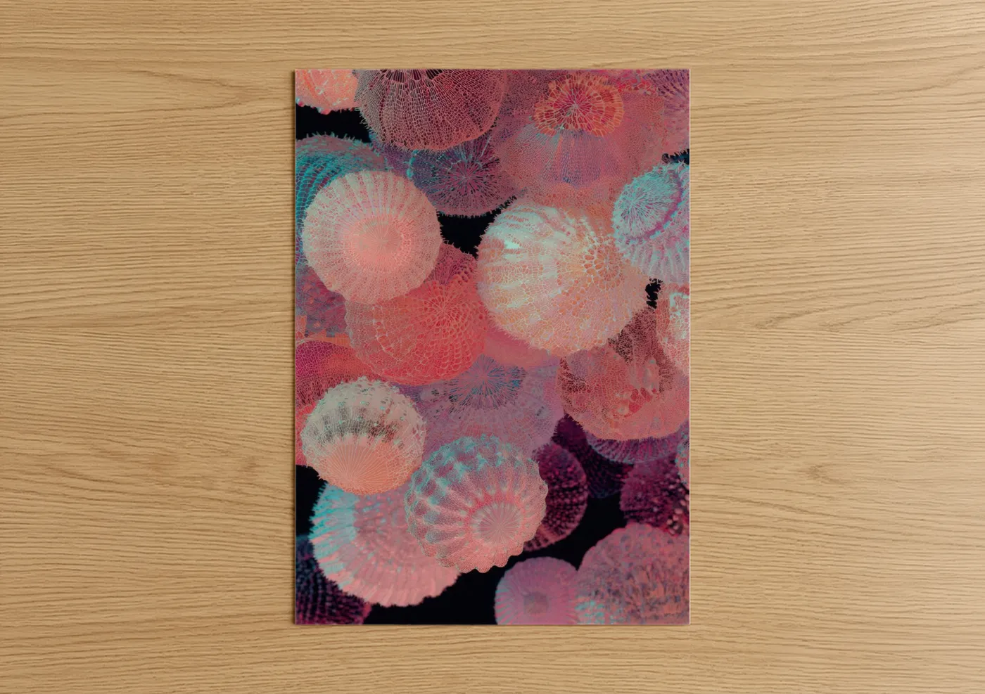Art print on warm oak wood — pink and turquoise palette — Coral Sea Urchin poster