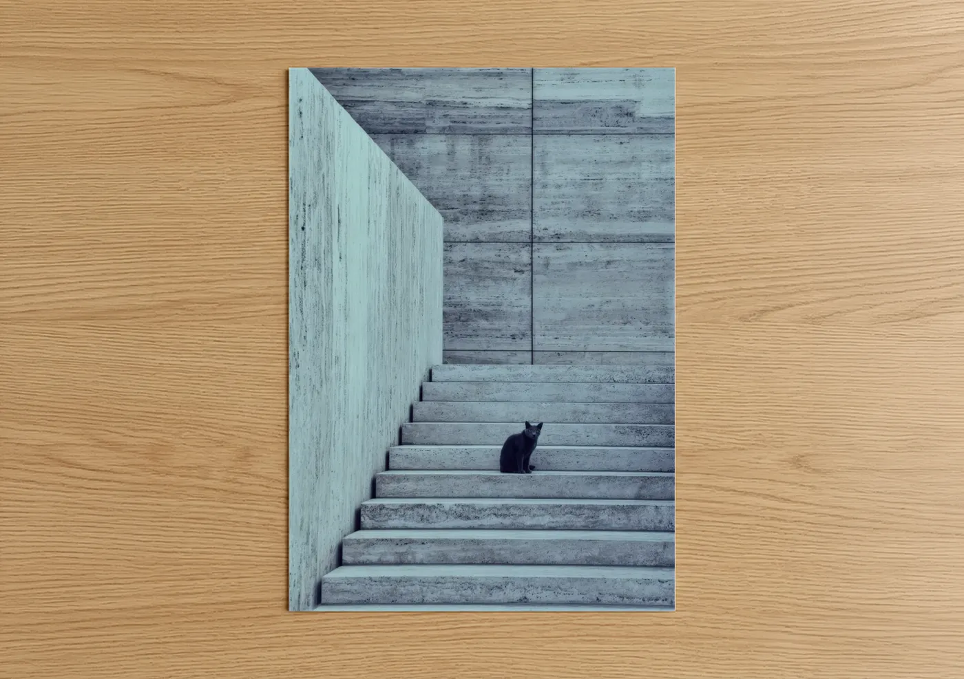 Black Cat on Concrete Stairs Wall Art