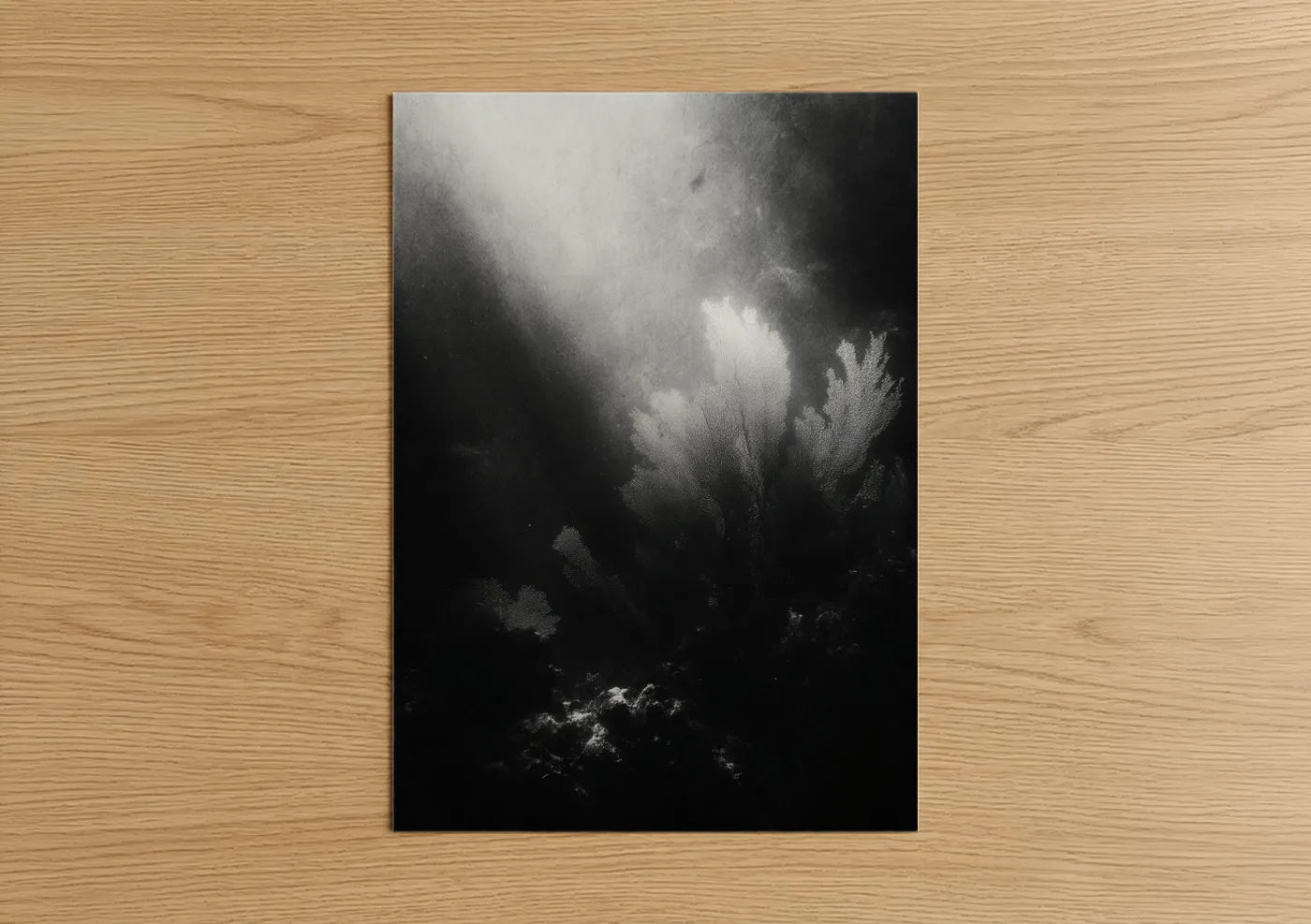 Art print on warm oak wood — black and white and gray palette — Ethereal Coral Garden poster