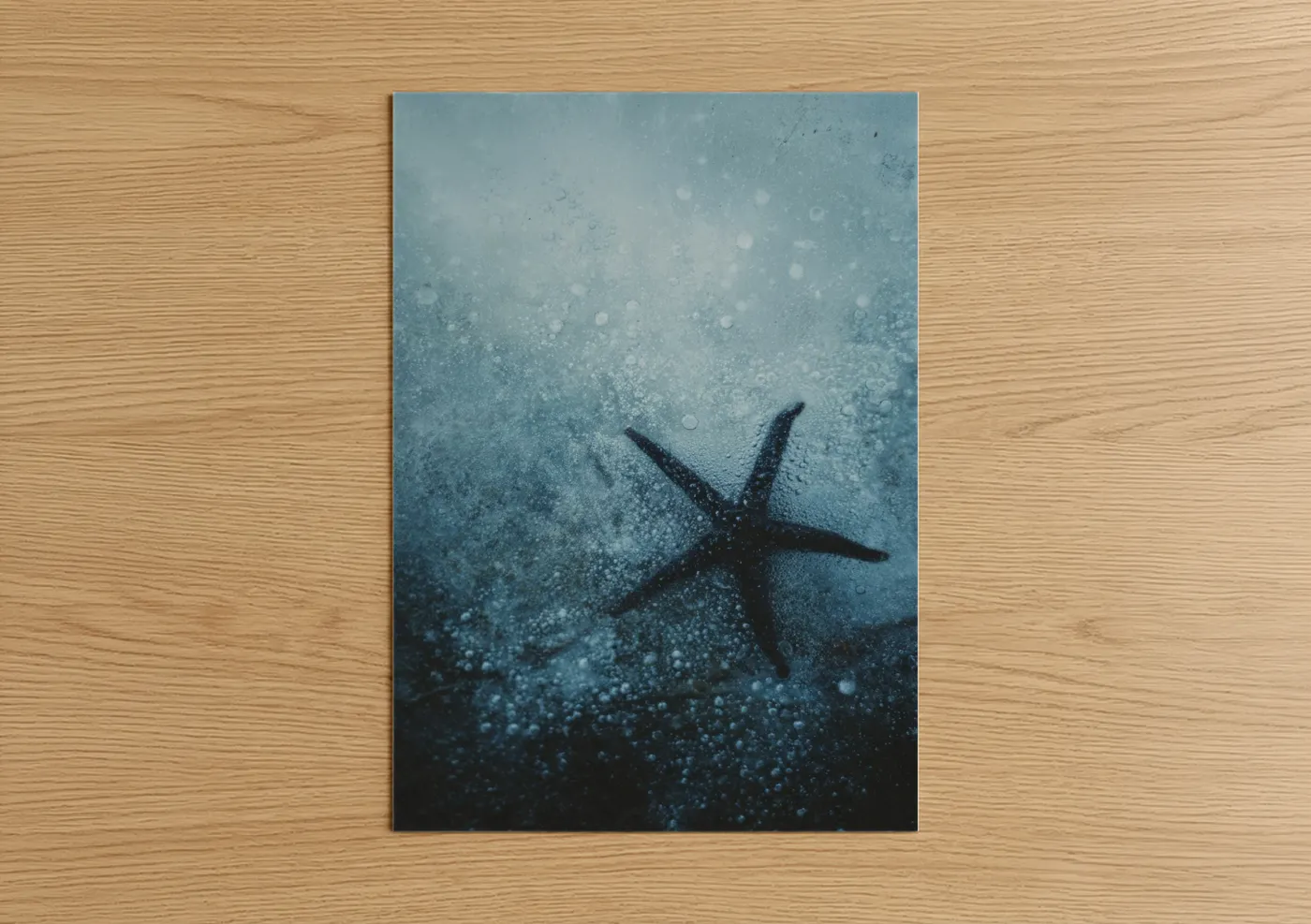 Art print on warm oak wood — blue and gray and blue and white palette — Ethereal Starfish poster