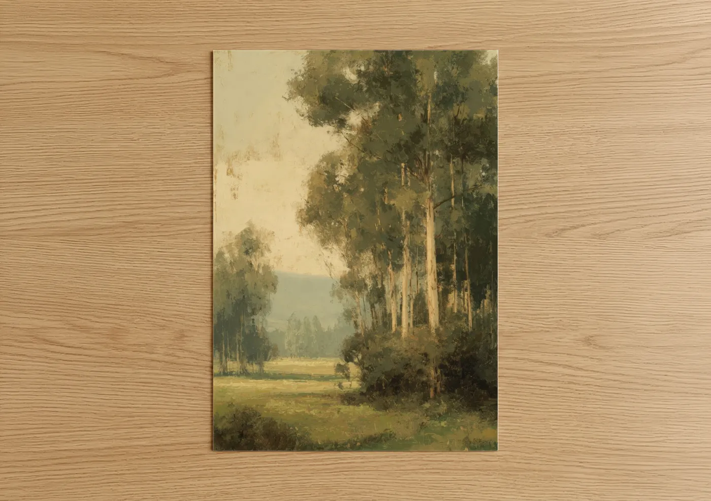 Eucalyptus Forest Morning Light Landscape Wall Art