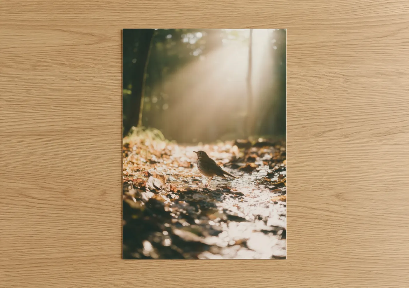 Art print on warm oak wood — gold and dark green palette — Forest Thrush poster