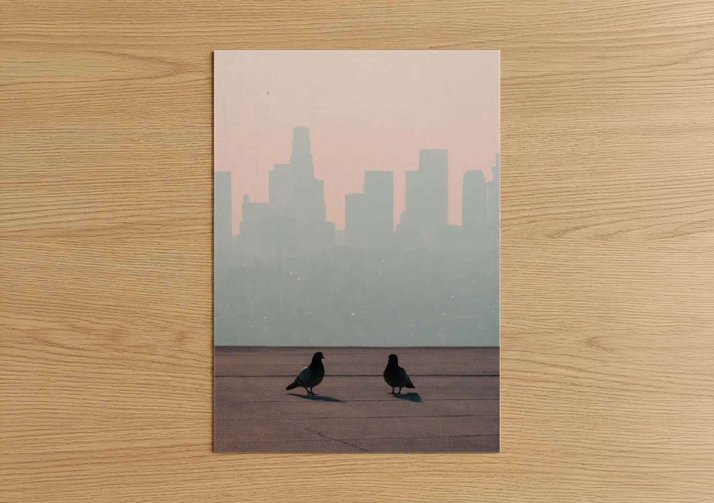 Urban Pigeons Skyline Silhouette Wall Art