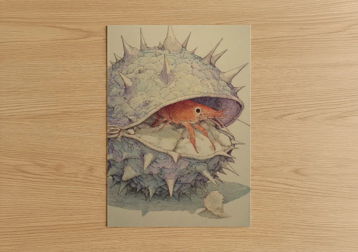 Art print on warm oak wood — cream and russet palette — Hermit Sea Urchin poster