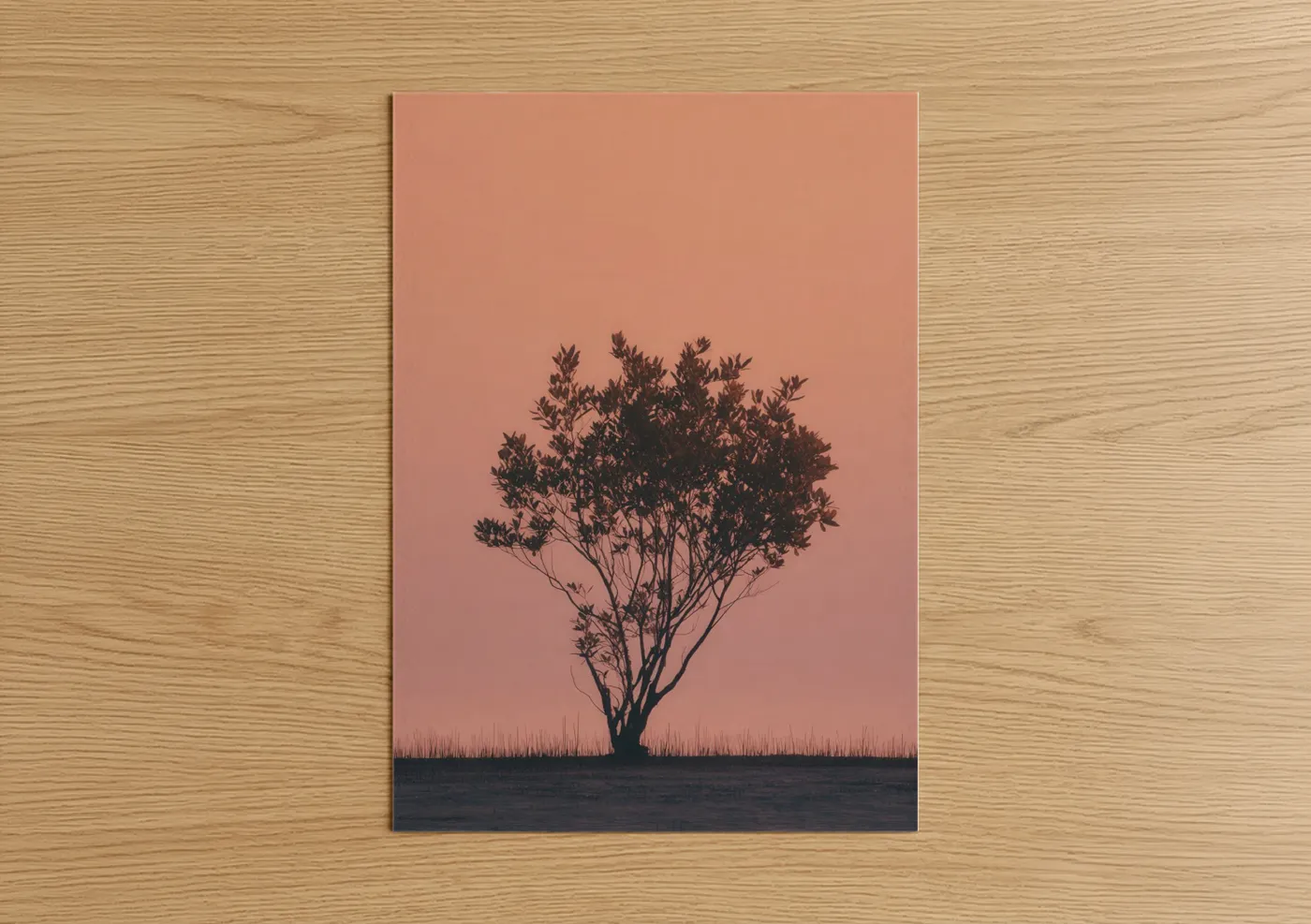 Solitude Mangrove Silhouette Sunset Wall Art