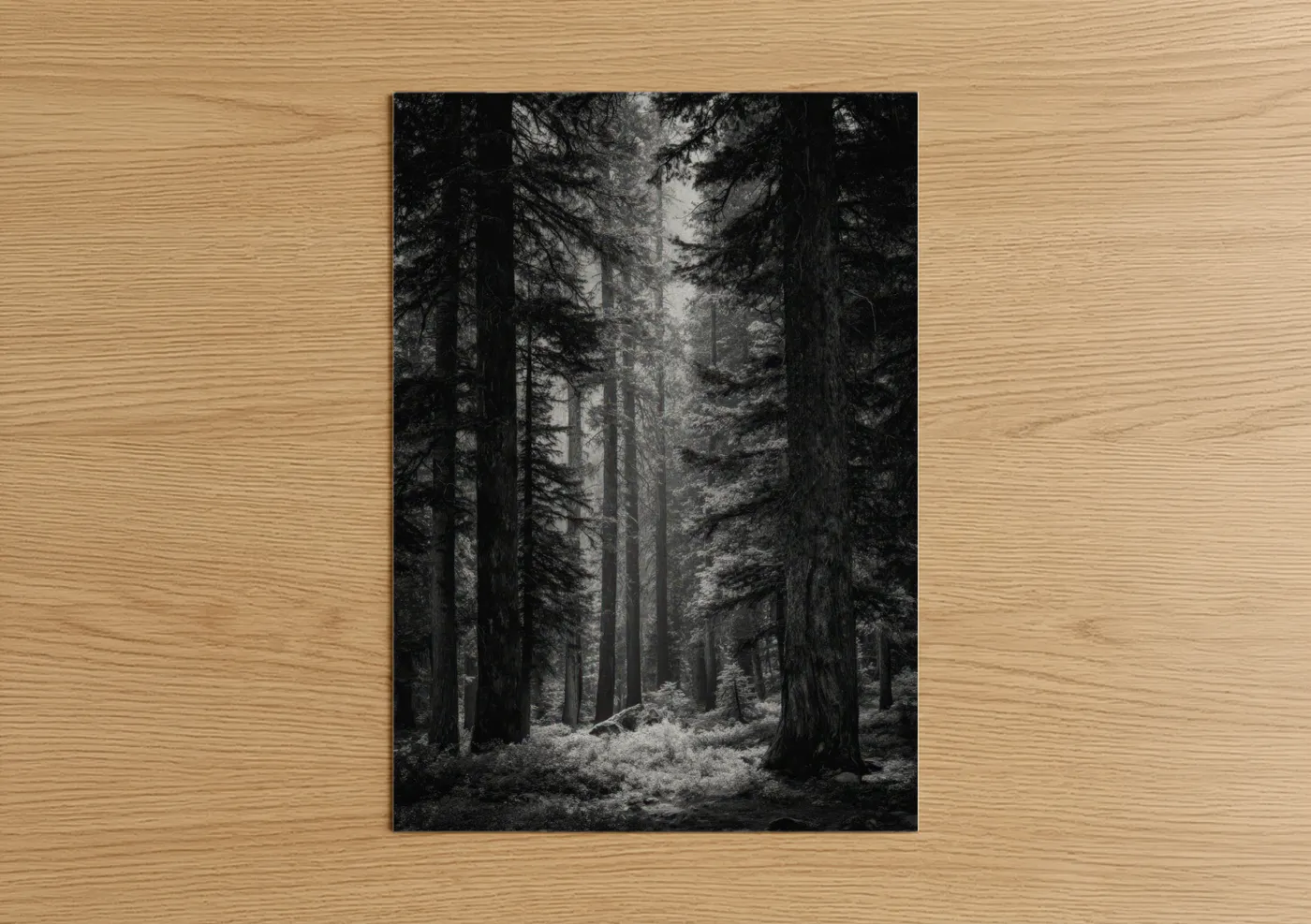 Misty Forest Cathedral Black White Wall Art