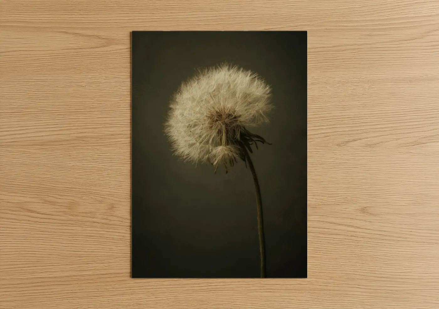 Art print on warm oak wood — olive and white palette — Ethereal Dandelion poster