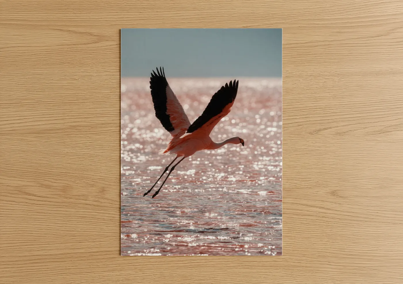 Pink Flamingo Taking Flight Waterside Wall Art