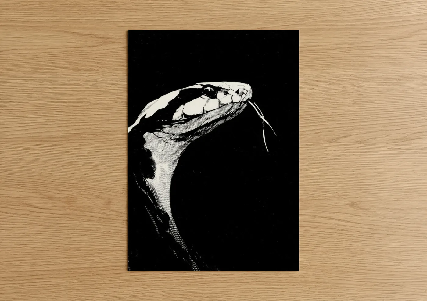Striking Viper Snake Line Wall Art