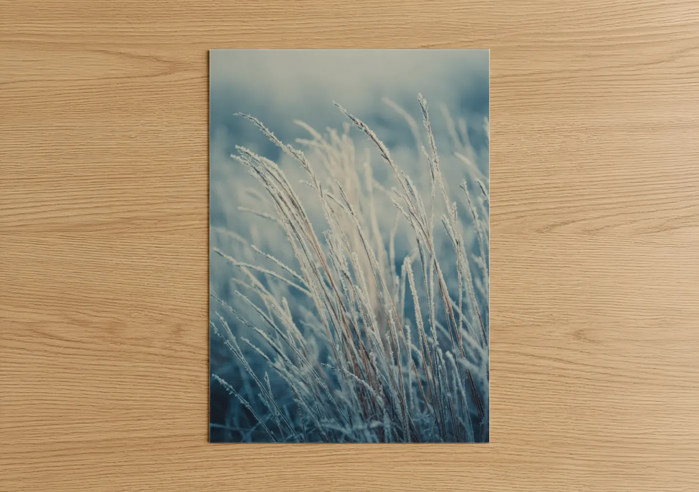 Art print on warm oak wood — blue and white and dove gray palette — Frosted Grass Morning poster