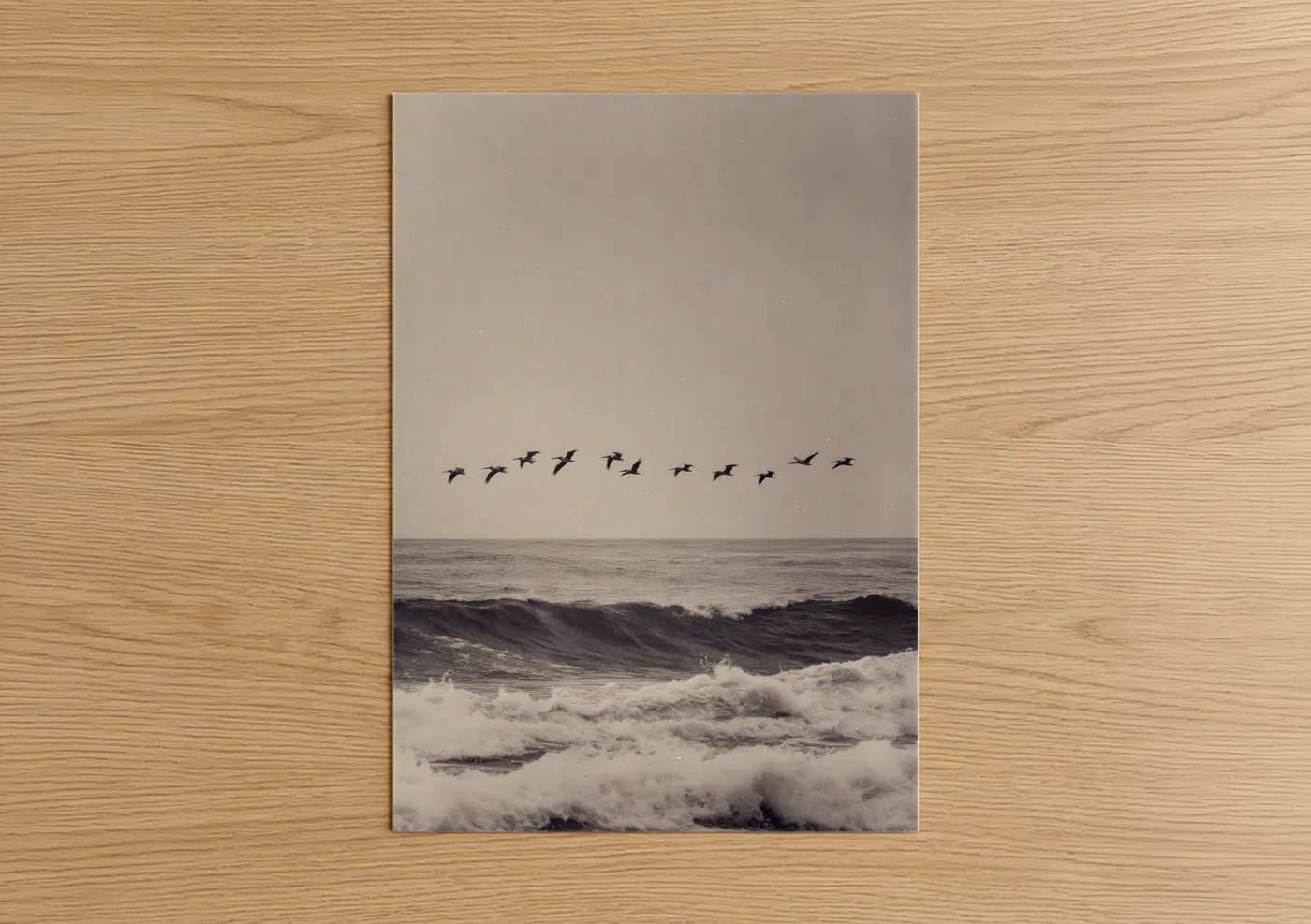 Pelican Flock Ocean Wave Photography Wall Art