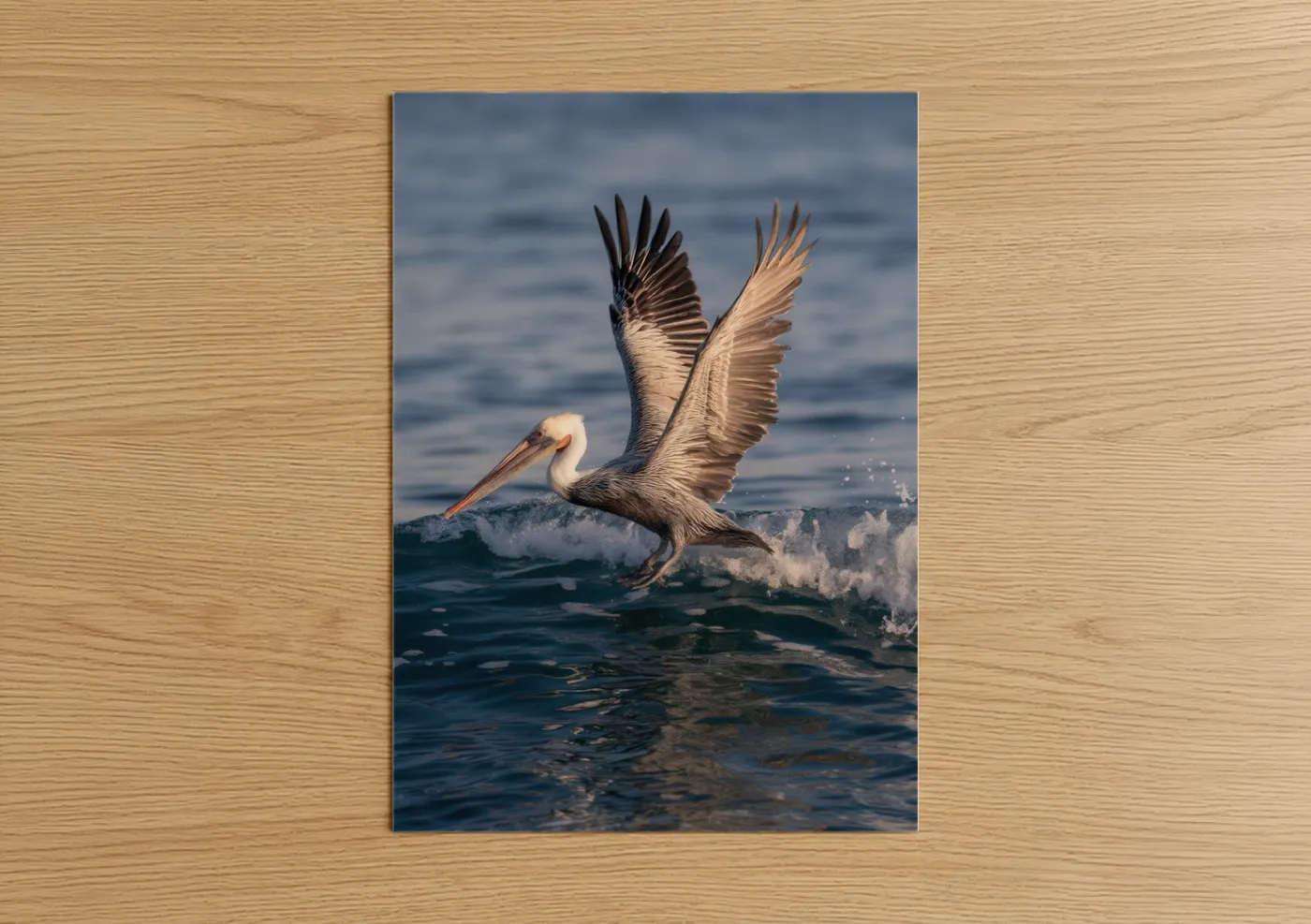 Pelican Taking Flight Over Ocean Waves Wall Art