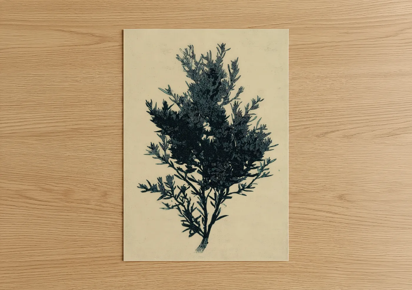 Botanical Herbs Plant Illustration Wall Art