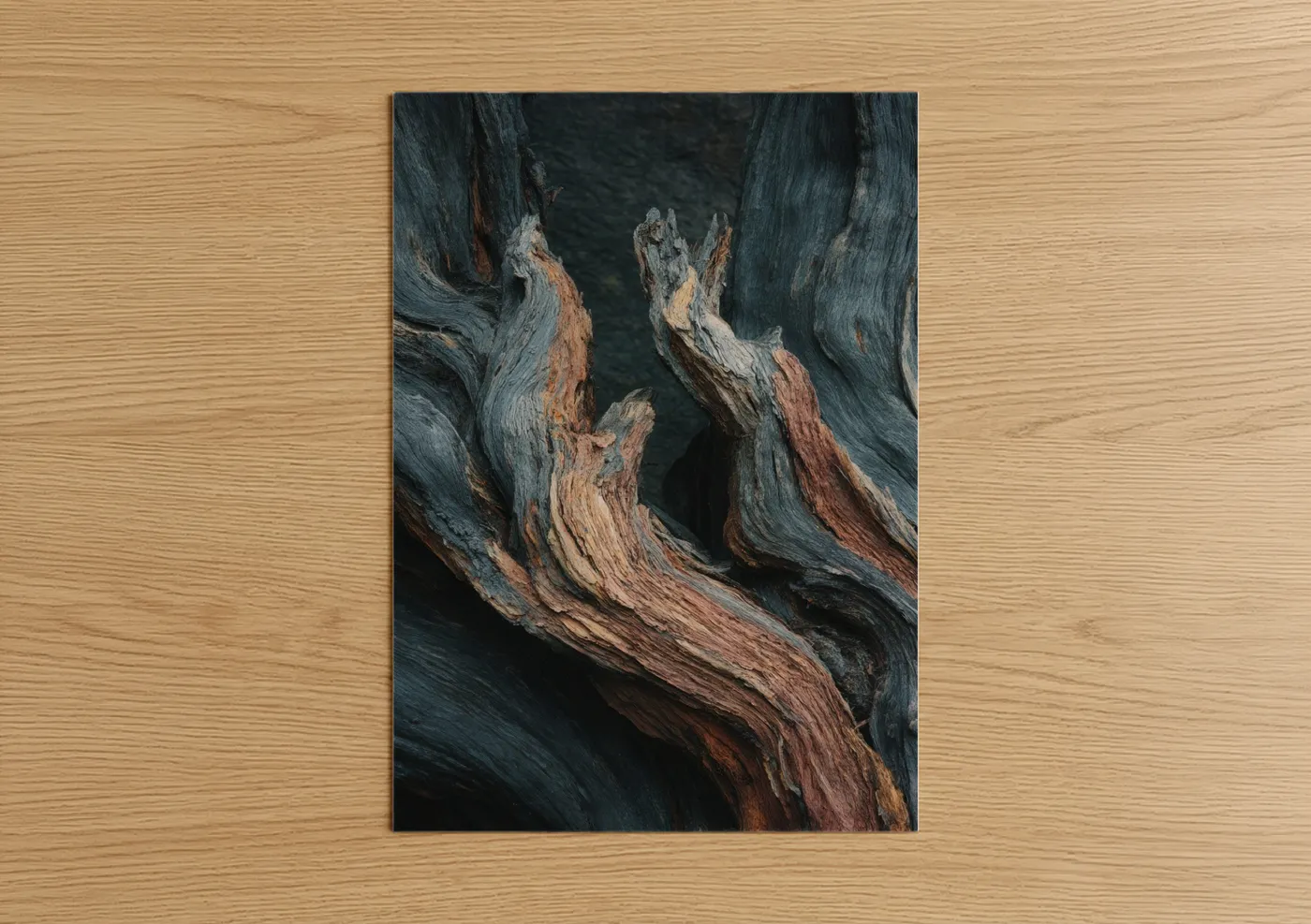 Weathered Juniper Tree Texture Detail Wall Art