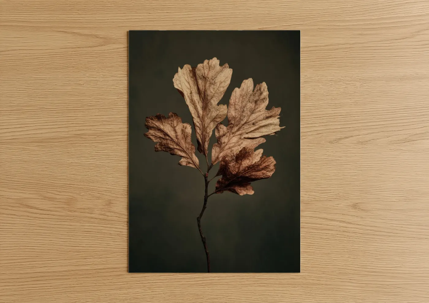 Dried Autumn Leaf Botanical Wall Art