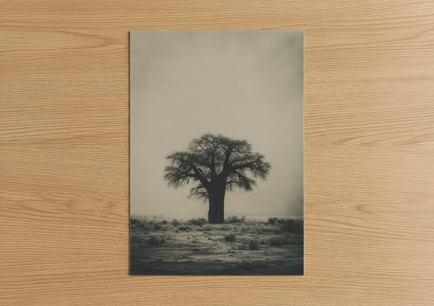 Baobab tree art print on warm oak wood — dove gray and black and white palette — Solitary Baobab poster