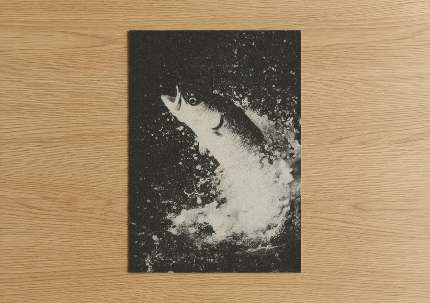 Art print on warm oak wood — black and white palette — Splashing Snook poster