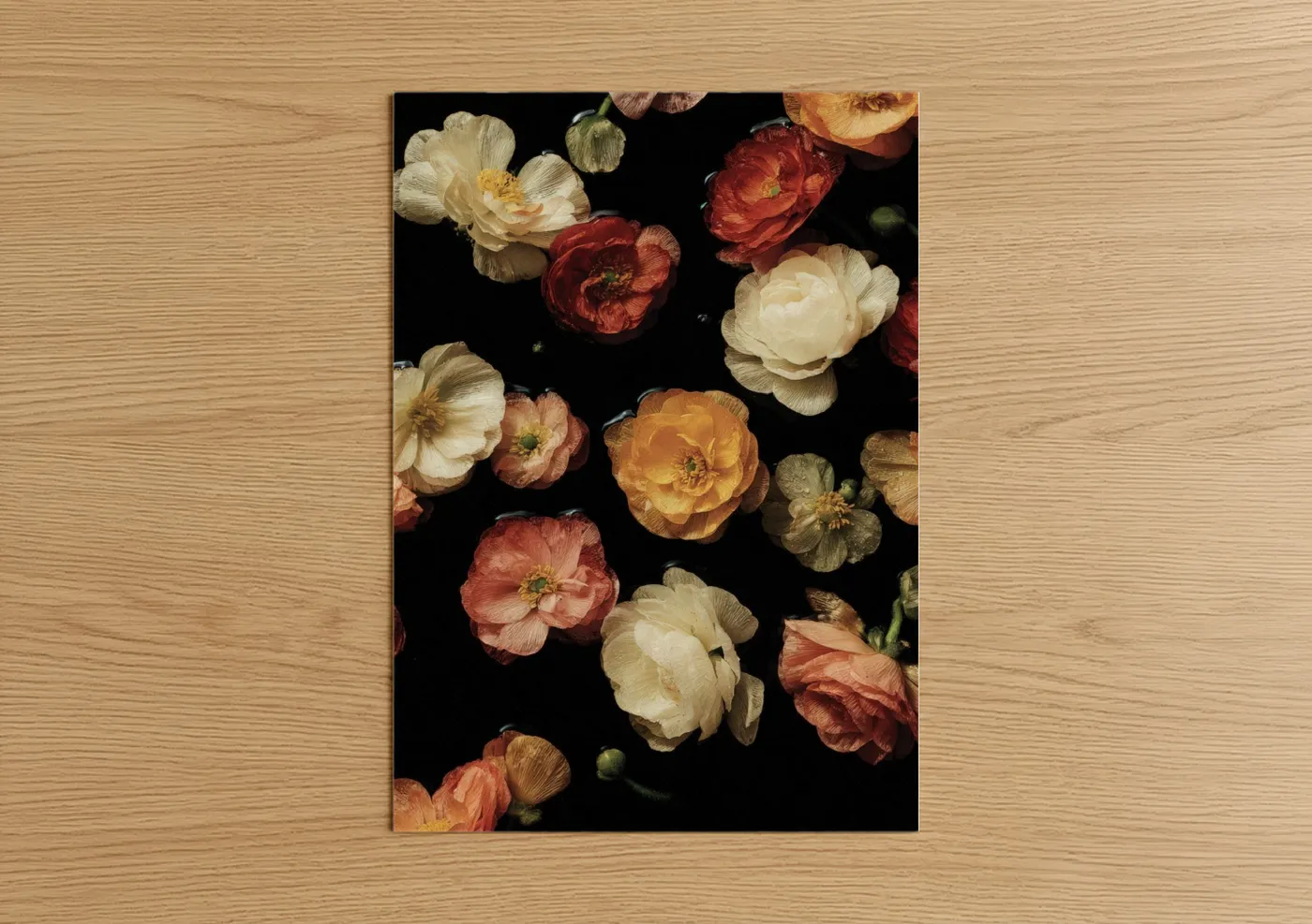 Midnight Ranunculus Floral Art Print Wall Art