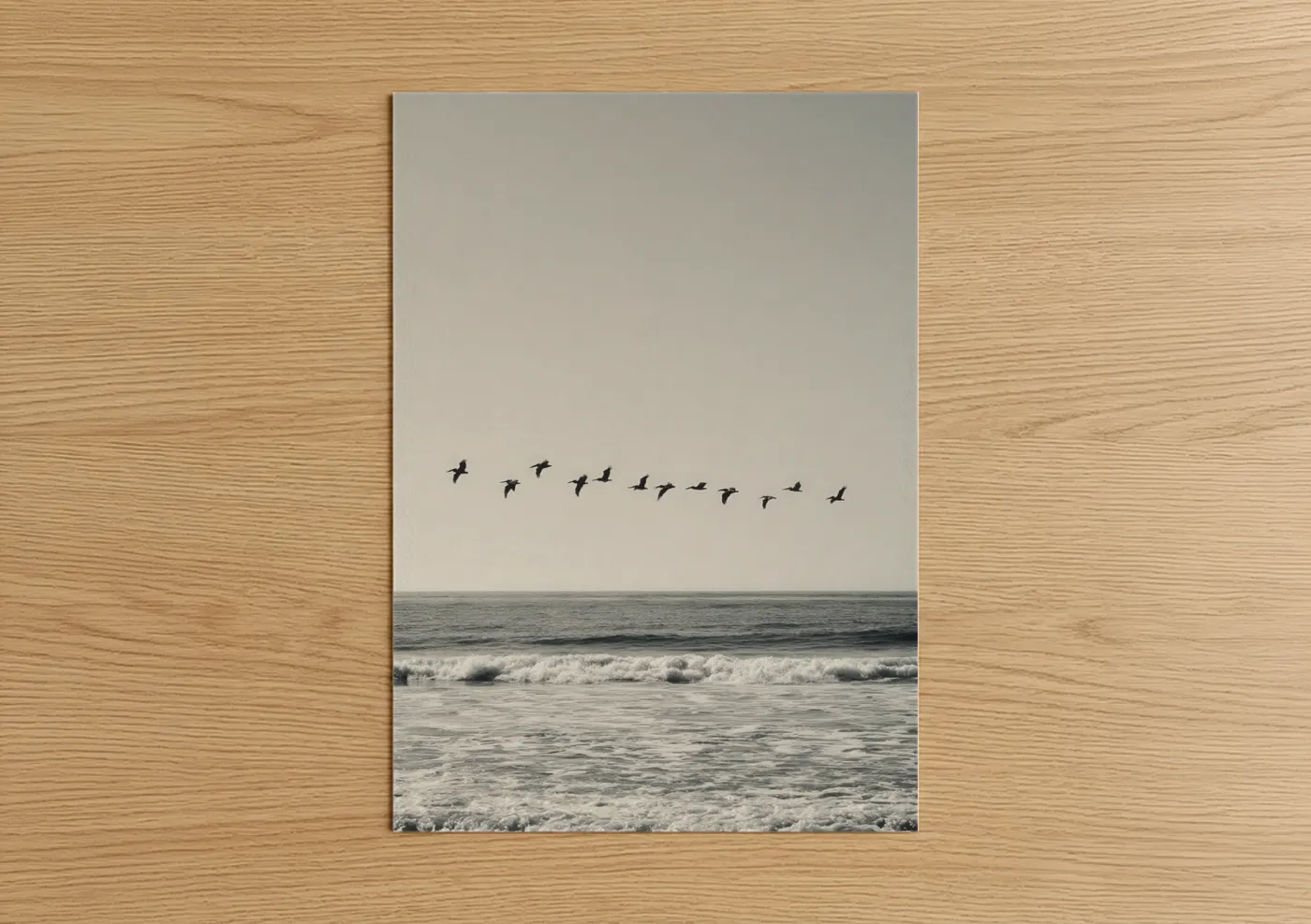Pelican Flock Ocean Seascape Photography Wall Art