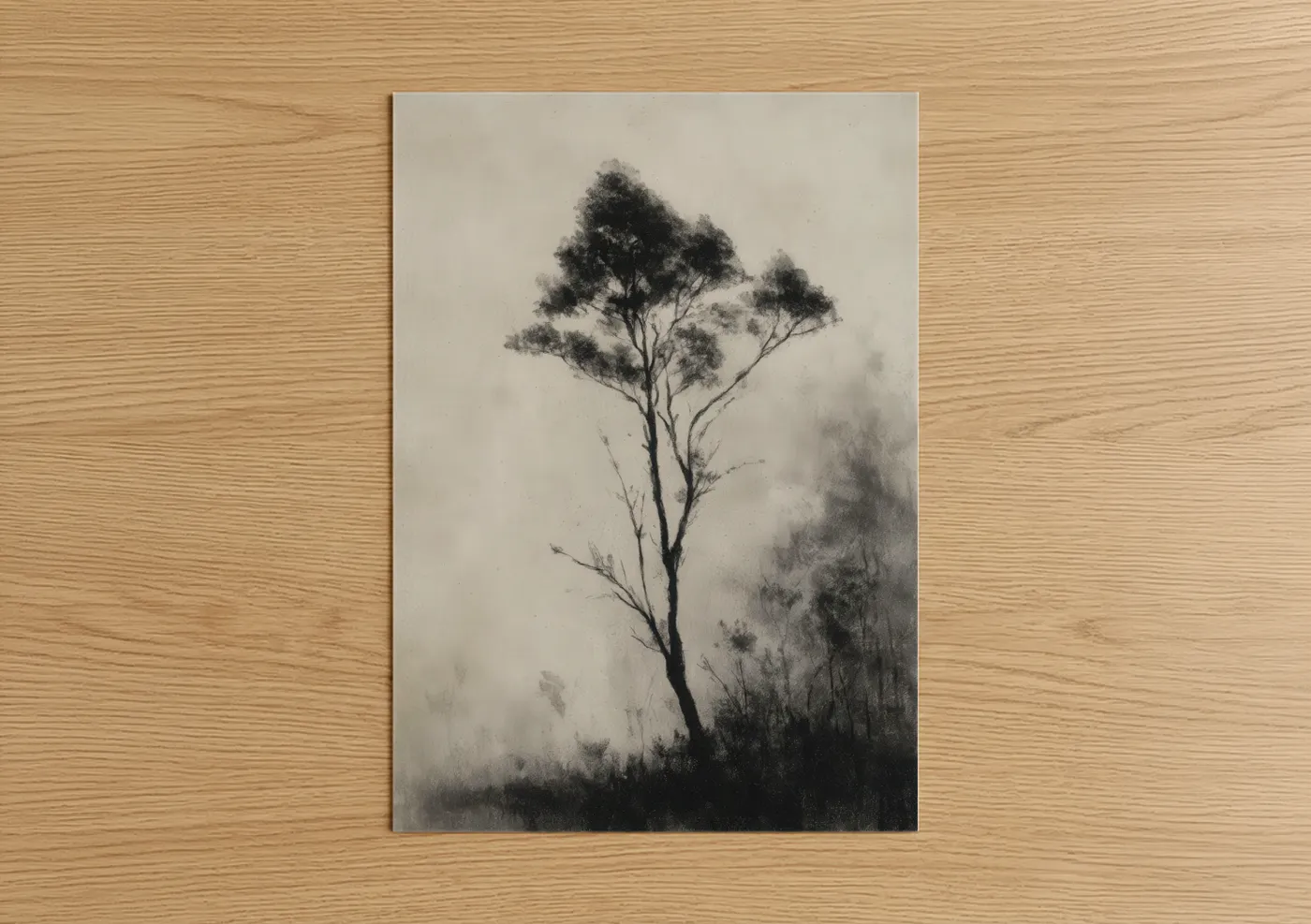 Misty Kauri Tree Charcoal Drawing Wall Art