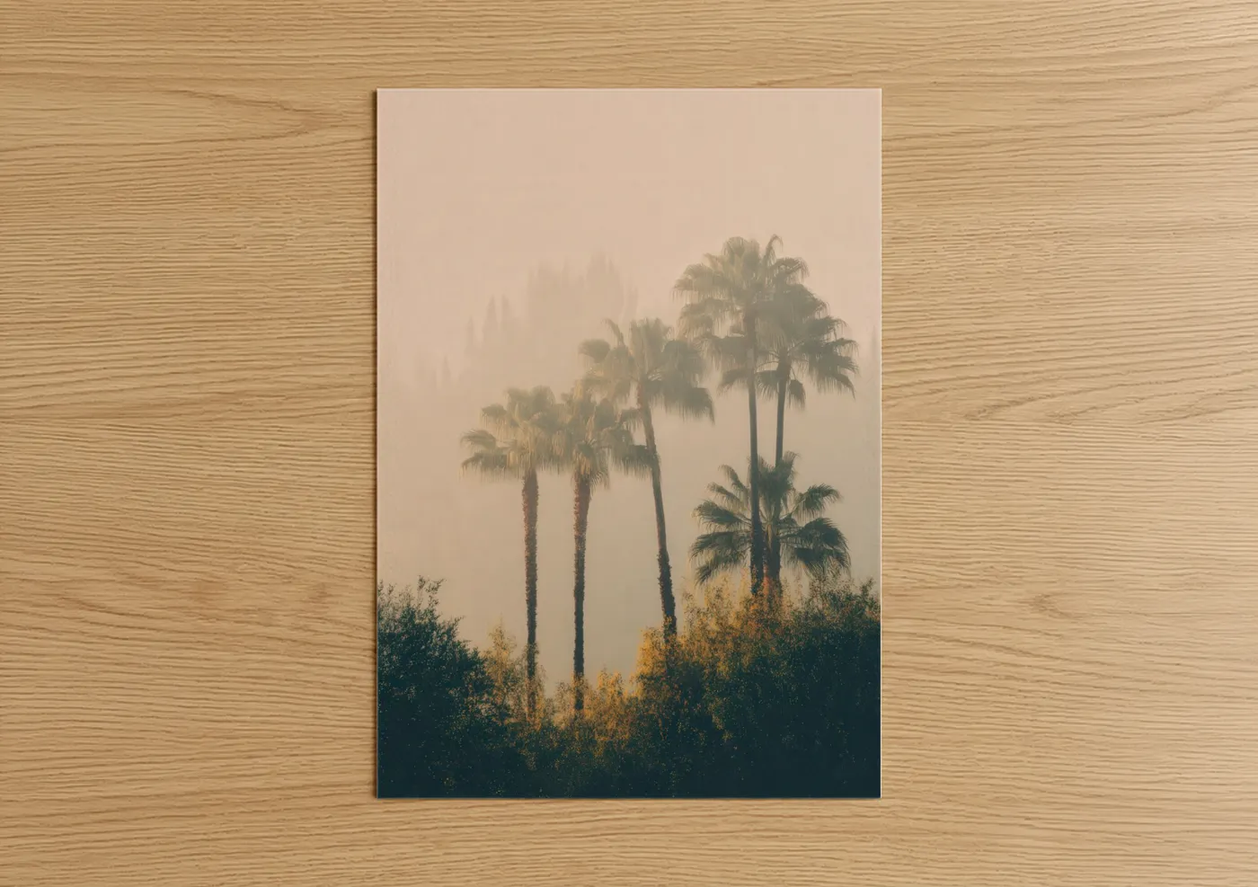 Art print on warm oak wood — cream and sage green palette — Misty Palm Forest poster