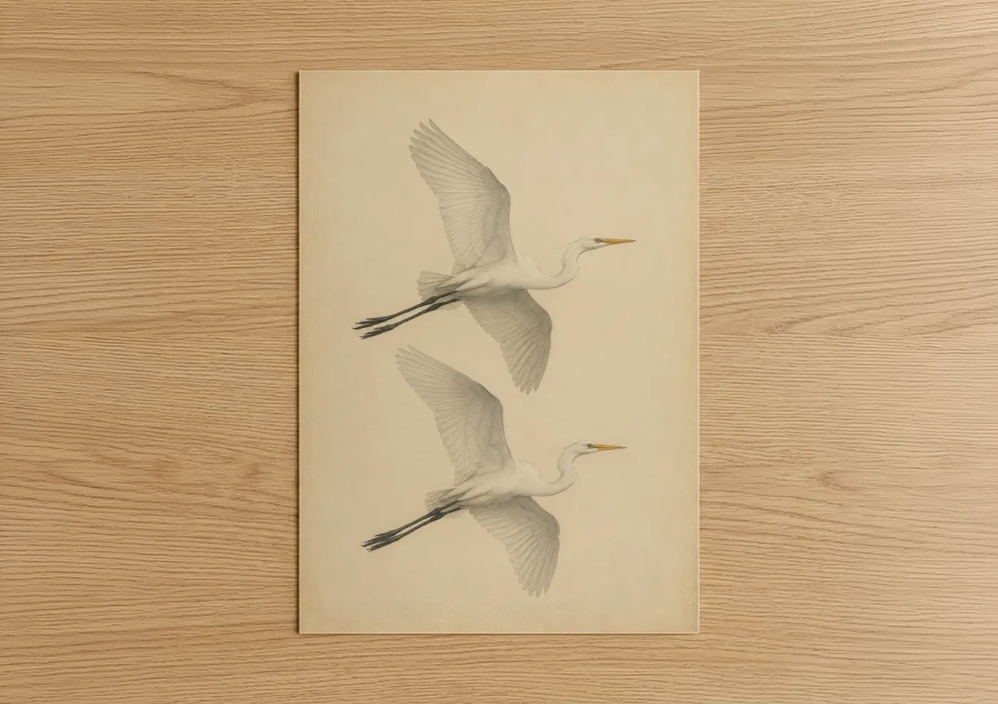 Art print on warm oak wood — beige and cream palette — White Heron in Flight Wall Art poster