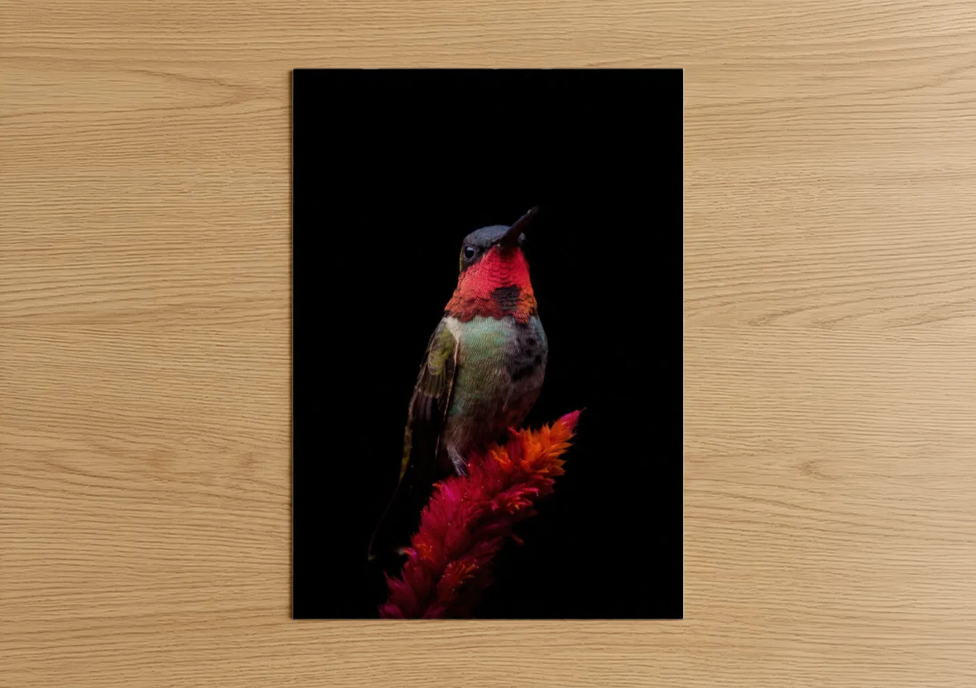 Crimson Hummingbird Red Flower Portrait Wall Art