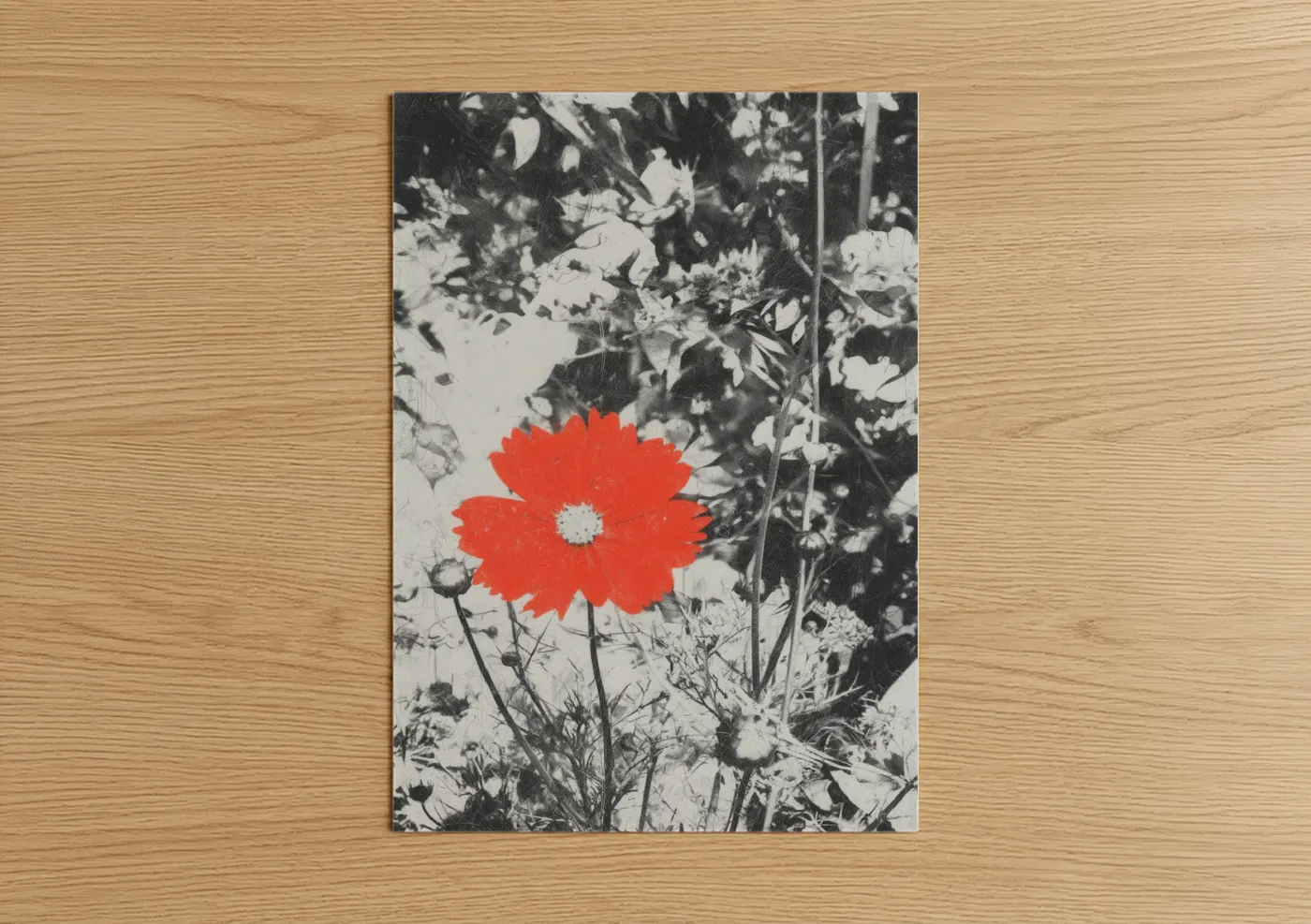 Abstract flower art print on warm oak wood — red and black and white palette — Crimson Bloom Study poster