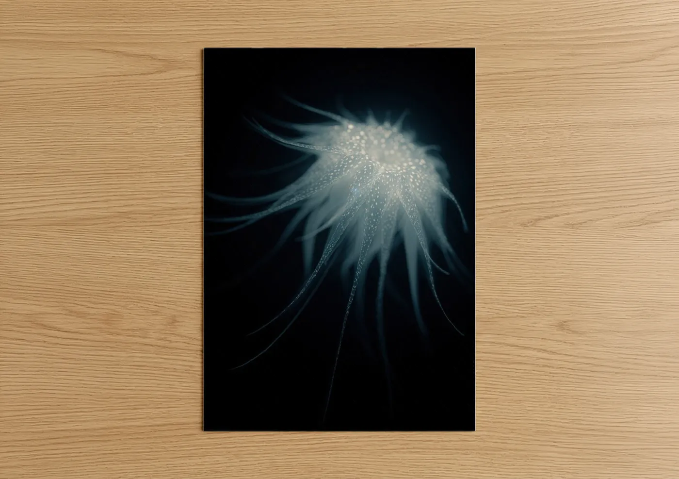 Bioluminescent Sea Urchin Deep Ocean Wall Art