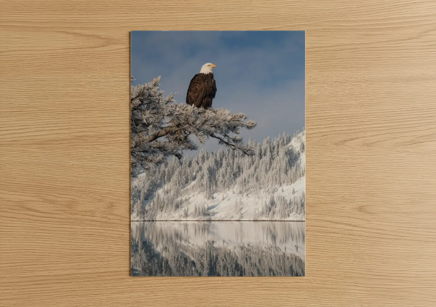 Bald Eagle Winter Mountain Lake Wall Art