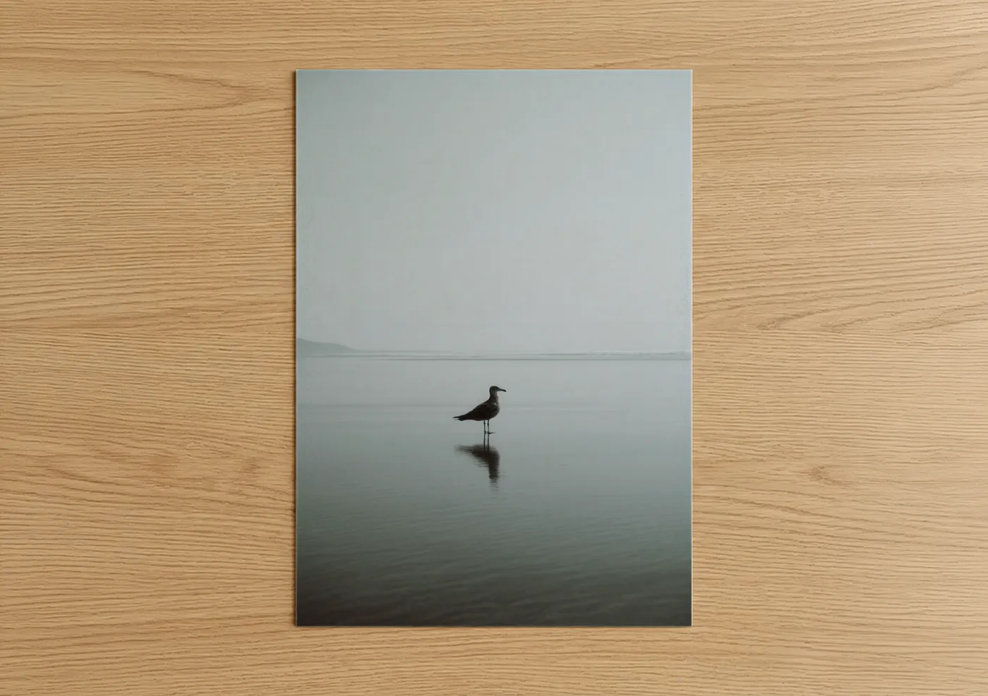 Solitary Seagull Misty Lake Reflection Wall Art