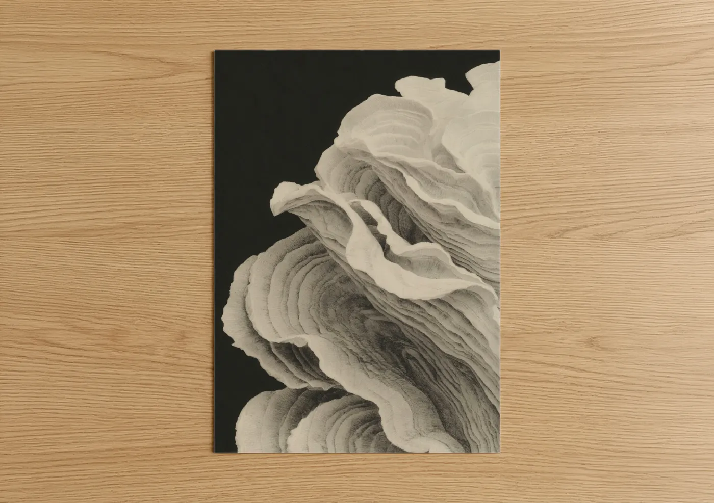 Detailed Oyster Shell Black & White Wall Art