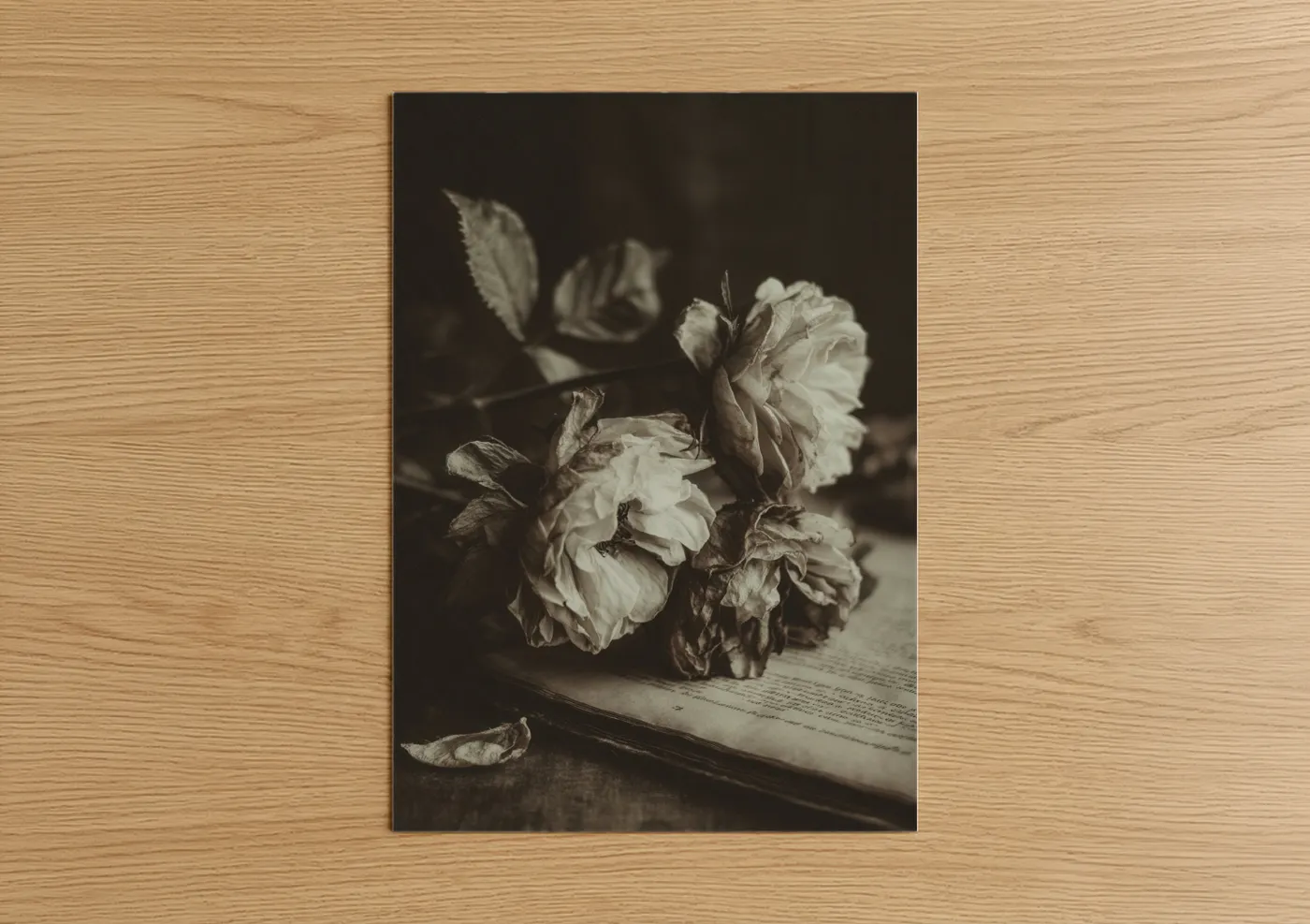 Art print on warm oak wood — black and white and dove gray palette — Faded Roses poster