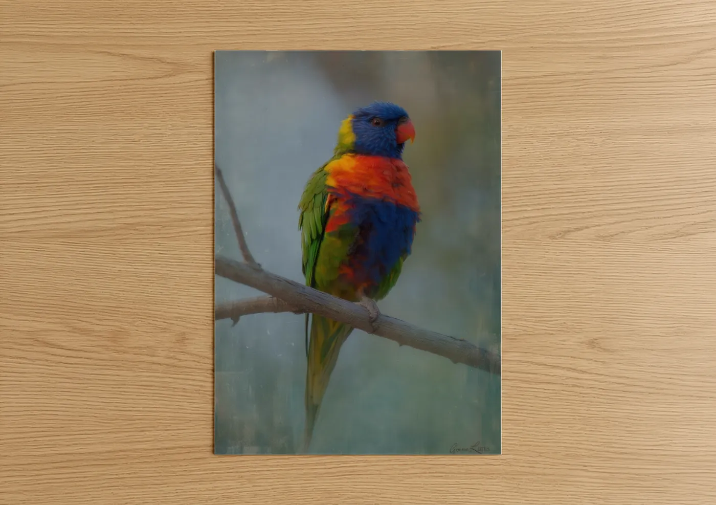 Rainbow Lorikeet Perched on Branch Wall Art