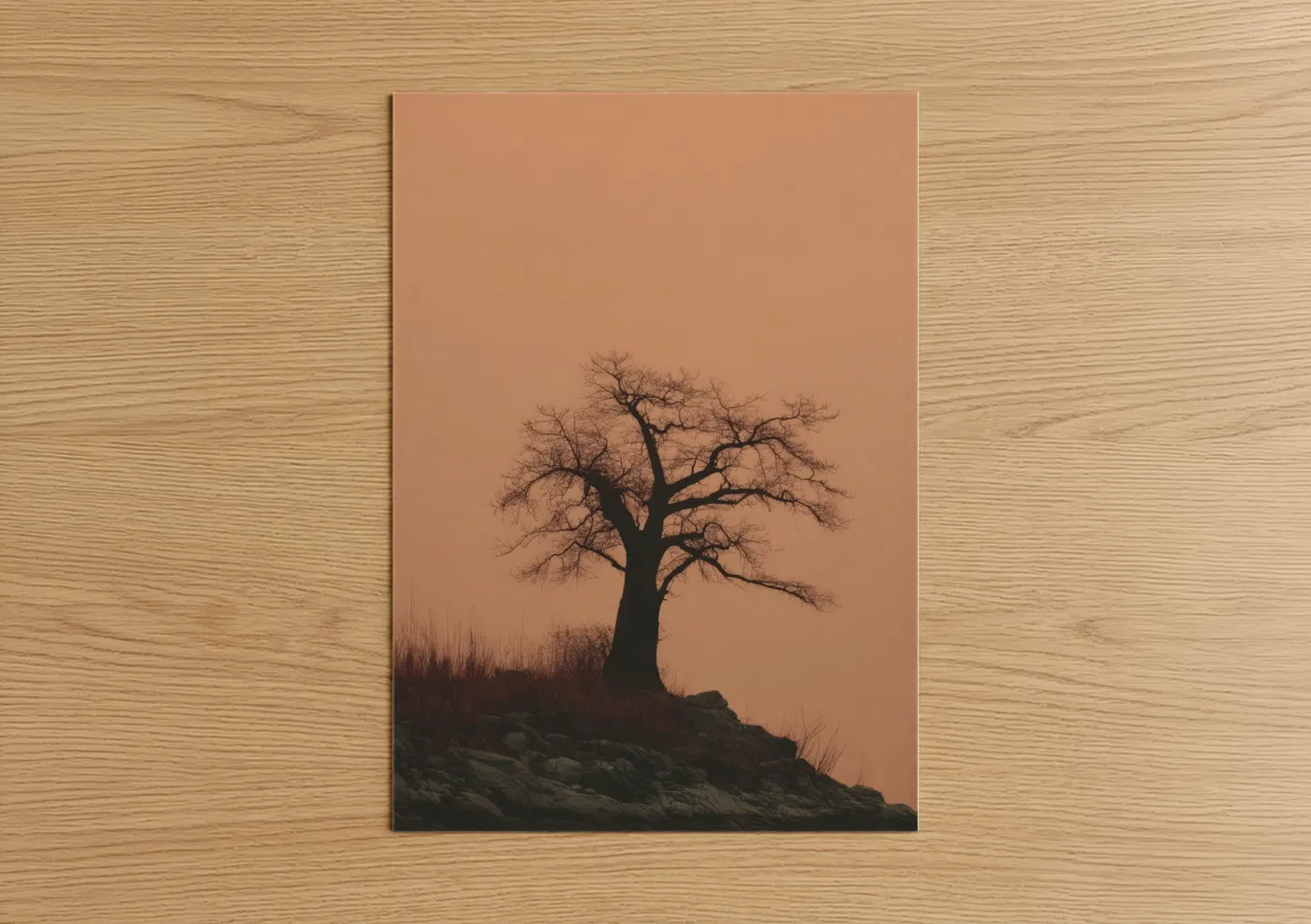 Solitary Baobab Tree Desert Silhouette Wall Art