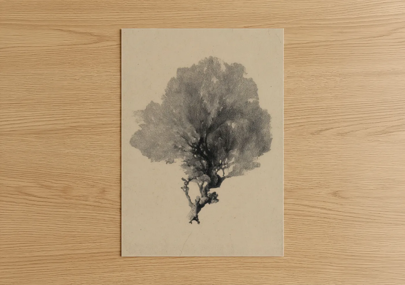 Art print on warm oak wood — black and white and beige palette — Delicate Coral poster