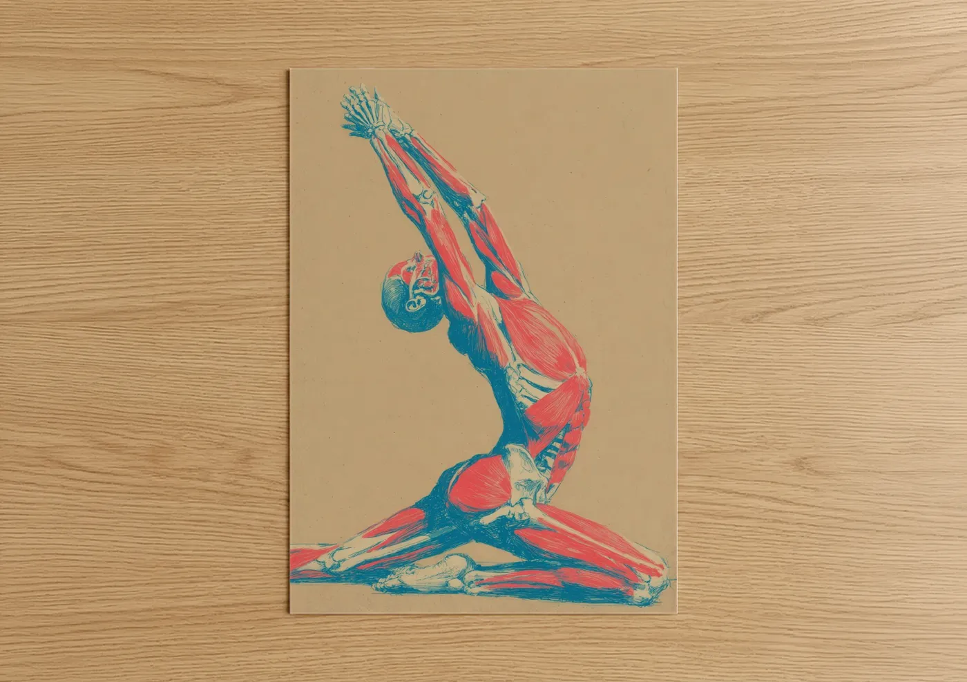 Anatomical Yoga Pose Fitness Wall Art