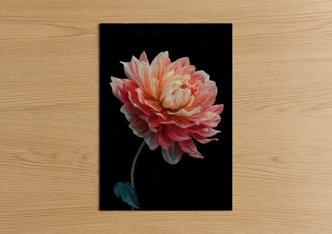 Coral Dahlia Bloom Floral Wall Art