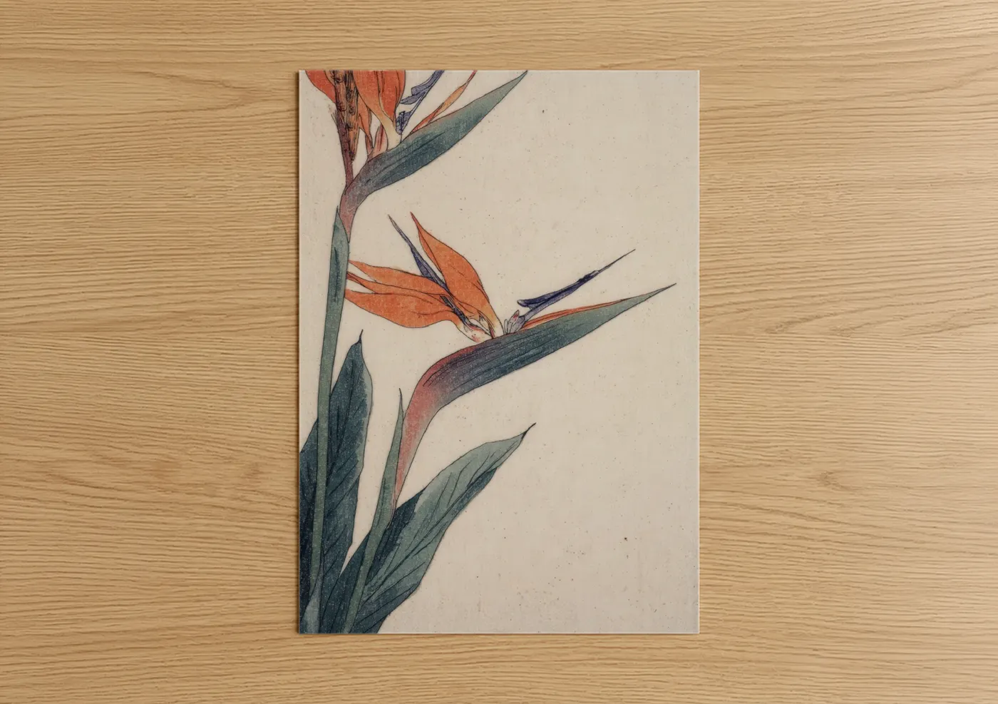 Tropical Bird of Paradise Botanical Watercolor Wall Art
