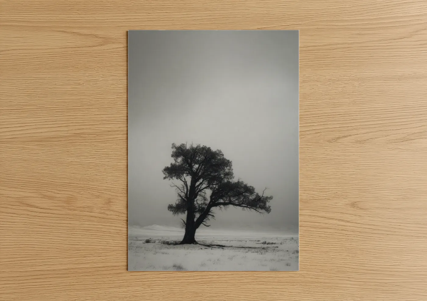 Solitary Cedar Tree Misty Landscape Wall Art
