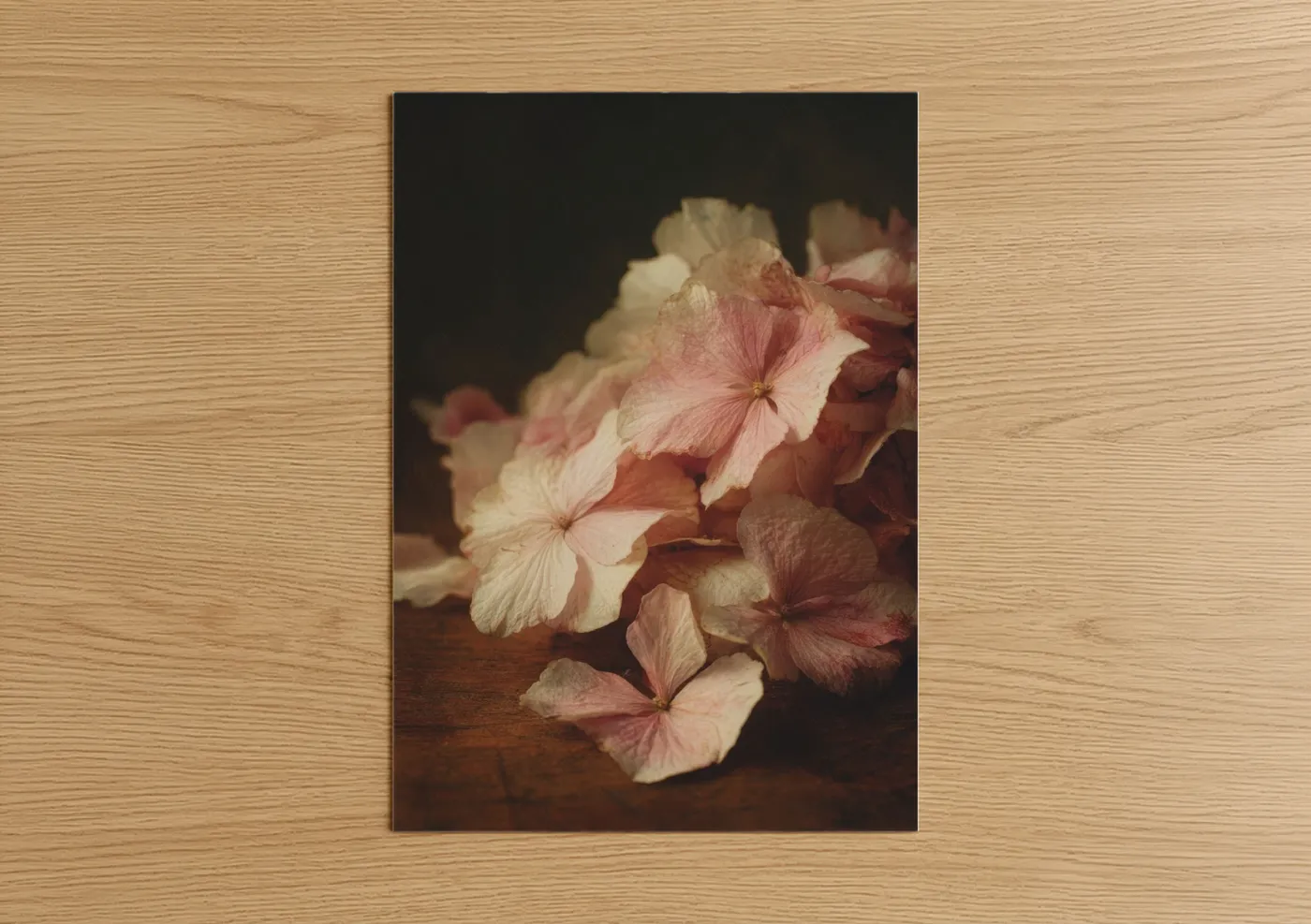 Faded Hydrangea Vintage Floral Wall Art