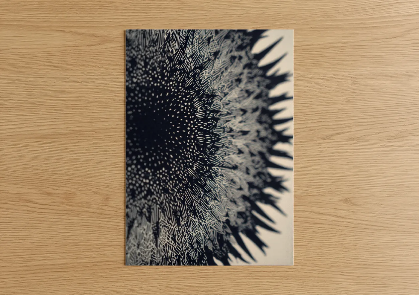 Monochrome Sea Urchin Spines Detail Wall Art