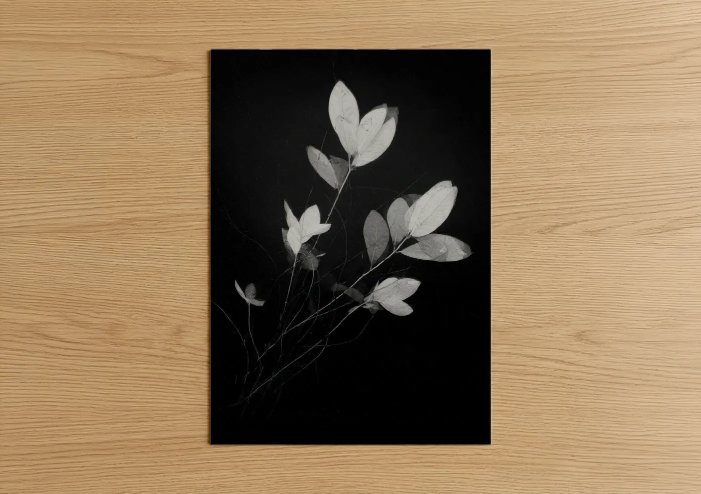 Ethereal Mangrove Botanical Black and White Wall Art