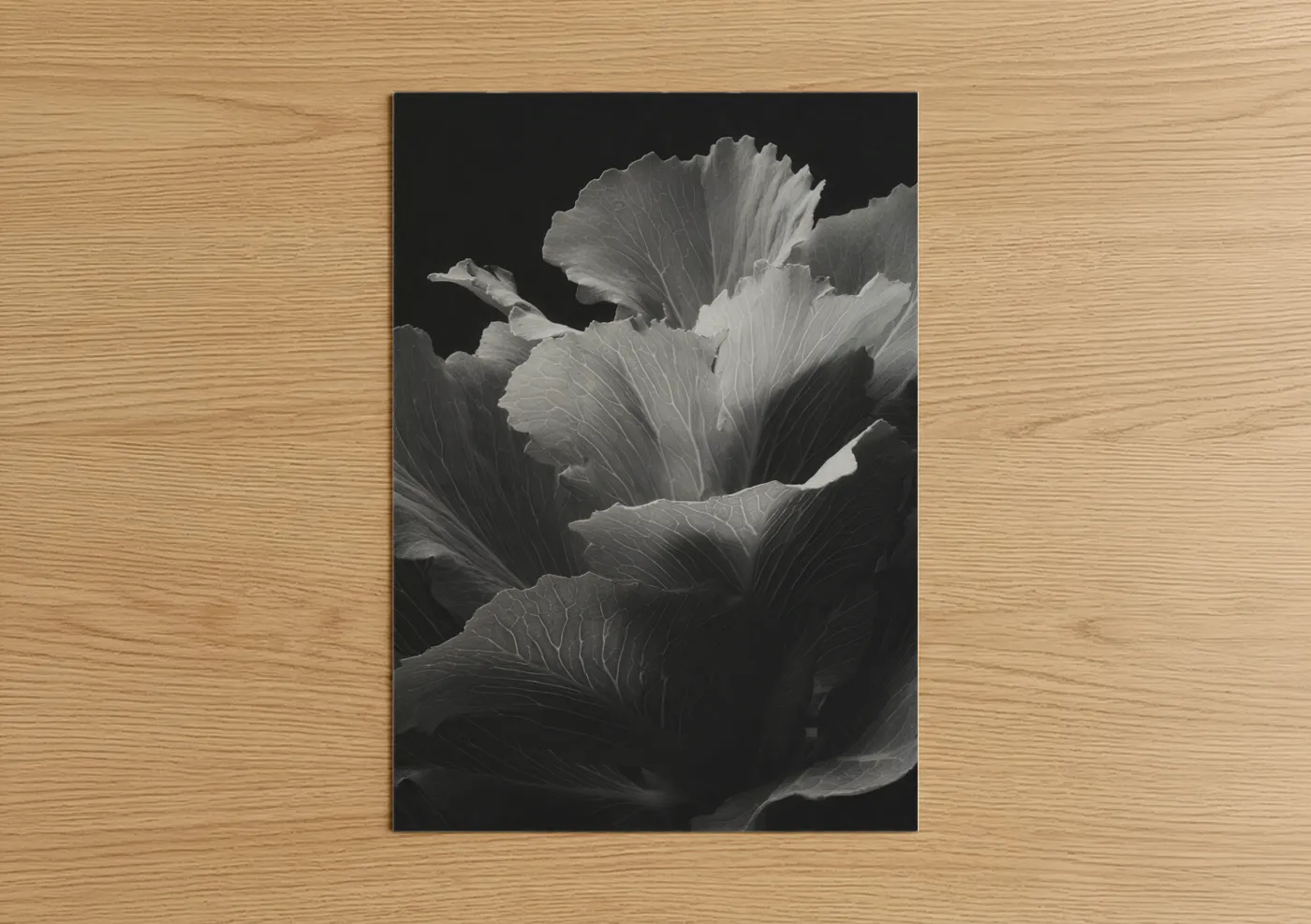 Monochrome Leaf Vein Detail Photography Wall Art